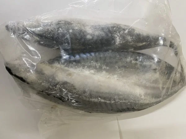 FRESH MACKEREL