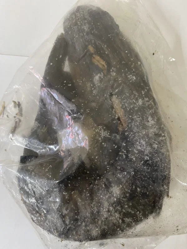SMOKE CATFISH 14.99/LB