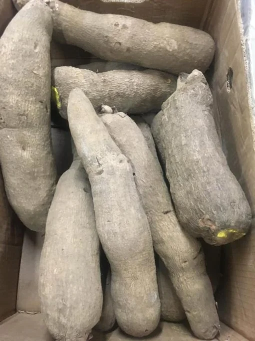 FRESH YAM